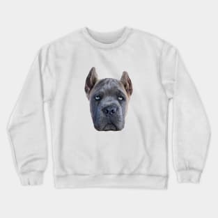 Cane Corso Puppy Dog Fawn Formentino Crewneck Sweatshirt